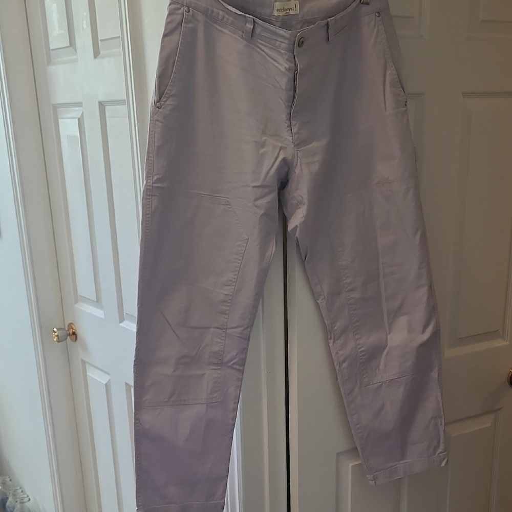 Purple Chino Pants with Classic Fit